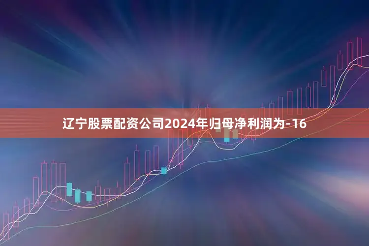 辽宁股票配资公司2024年归母净利润为-16