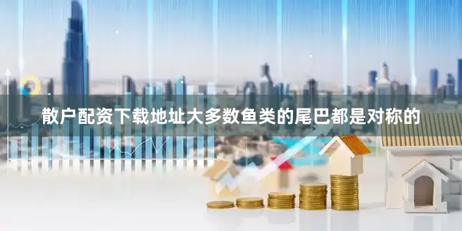 散户配资下载地址大多数鱼类的尾巴都是对称的