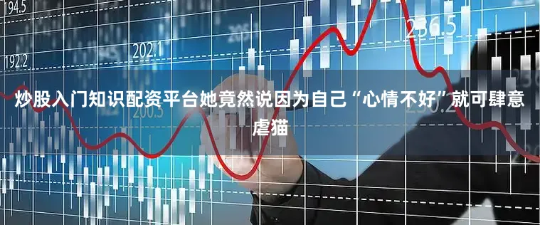 炒股入门知识配资平台她竟然说因为自己“心情不好”就可肆意虐猫