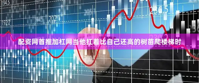 配资网首推加杠网当他扛着比自己还高的树苗爬楼梯时