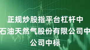 正规炒股指平台杠杆中国石油天然气股份有限公司中标