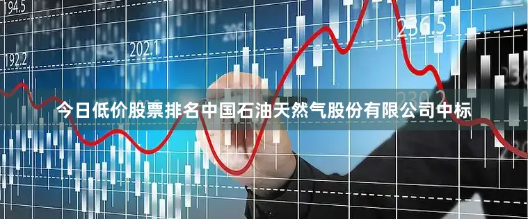 今日低价股票排名中国石油天然气股份有限公司中标