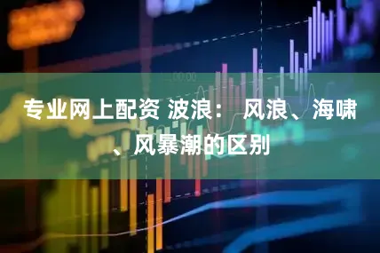 专业网上配资 波浪： 风浪、海啸、风暴潮的区别